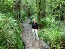 whangarei (58)